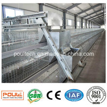 Automatic Pullet Cage Baby Chicken Cage